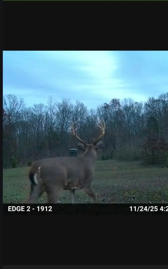 1395 Rock Springs Road, Simpson, IL 62985 - #2