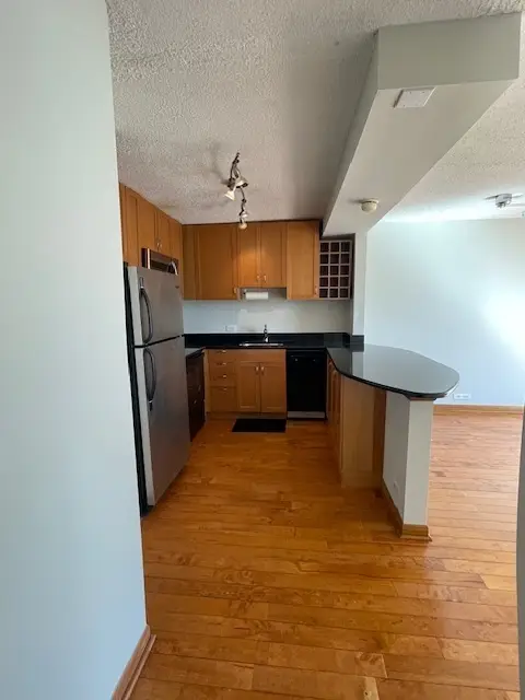 1460 N Sandburg Terrace #803A, Chicago, IL 60610 - #3