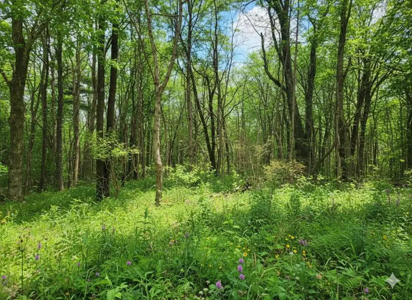 1875 Pleasant Woods Circle, Carbondale, IL 62902 - #2