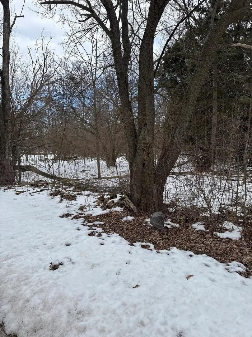 1601 Faithorn Avenue, Crete, IL 60417 - #2