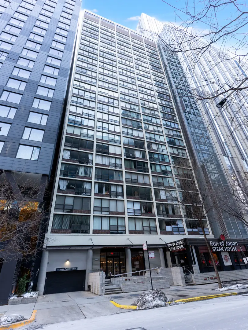 230 E Ontario Street #1204, Chicago, IL 60611 - #3