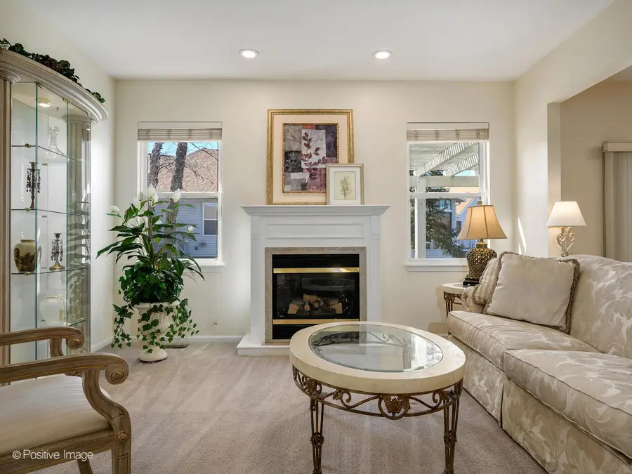 21344 W Juniper Lane, Plainfield, IL 60544 - #3