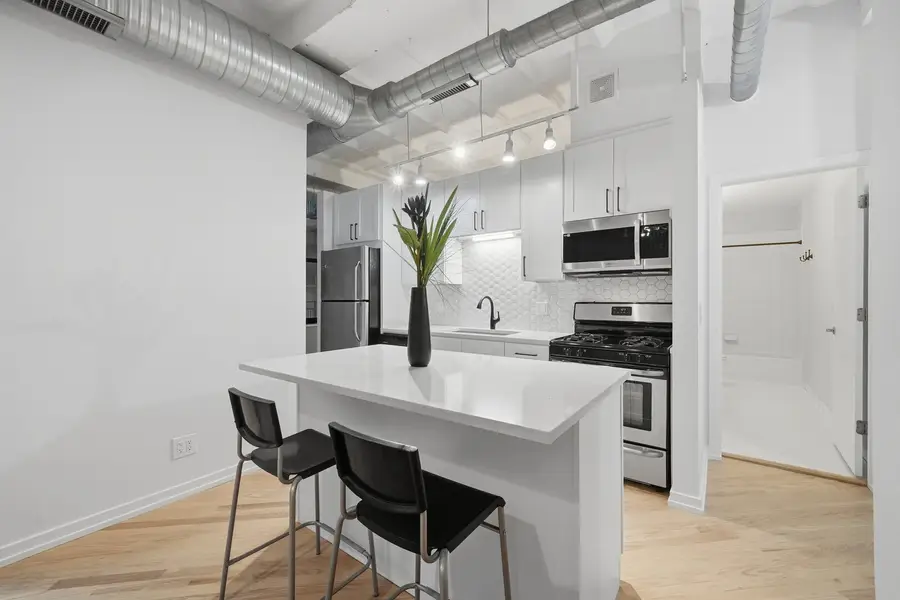 1307 S Wabash Avenue #205, Chicago, IL 60605 - Image #2