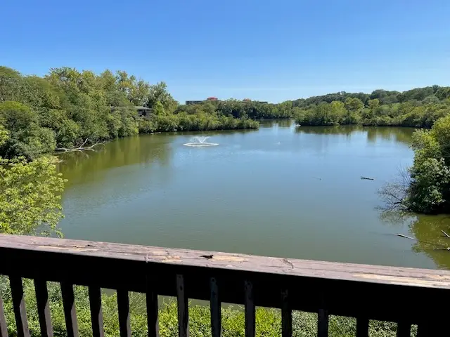 1601 E Maple Terrace #3B, Lisle, IL 60532 - Image #2