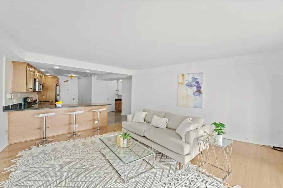 300 N State Street #5235, Chicago, IL 60654 - Image #2