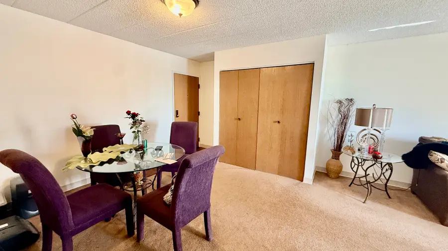 606 E Woodland Park Avenue #608, Chicago, IL 60616 - #3