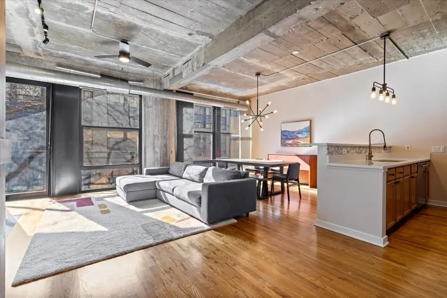 1033 W 14th Place #236, Chicago, IL 60608 - #2