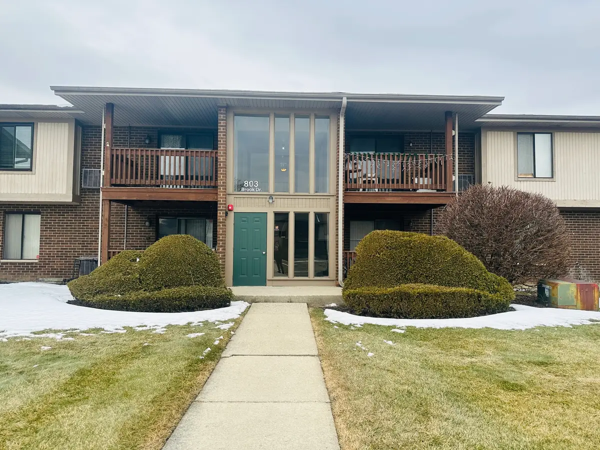 803 Brook Drive #5, Streamwood, IL 60107 - #1