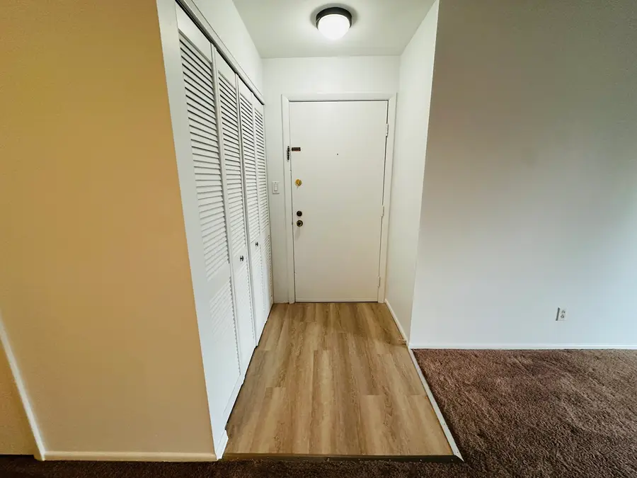 803 Brook Drive #5, Streamwood, IL 60107 - #2