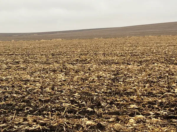 00 Allens Grove Road, Dixon, IA 52745