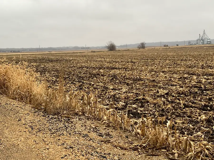 00 Allens Grove Road, Dixon, IA 52745 - #2