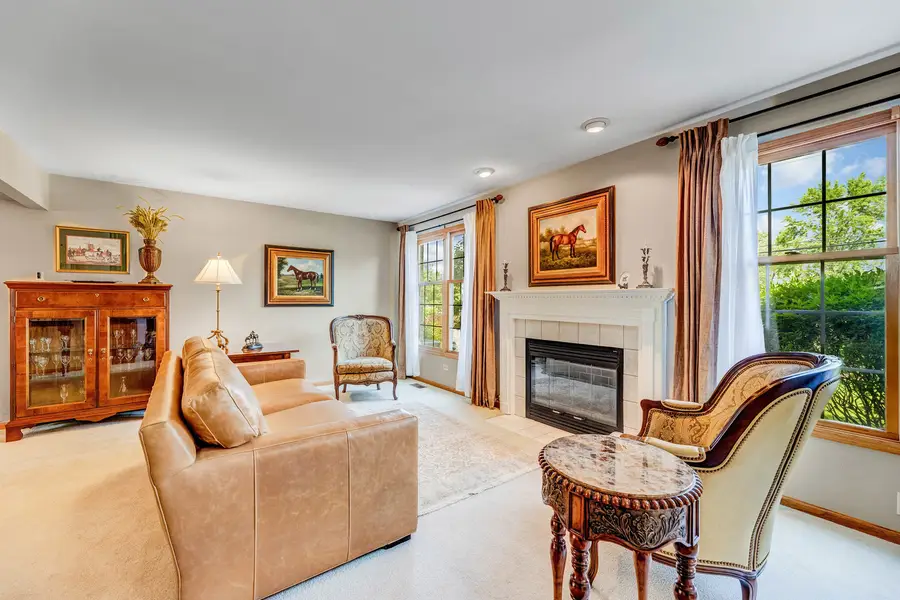 14517 Albany Avenue, Lemont, IL 60439 - #3