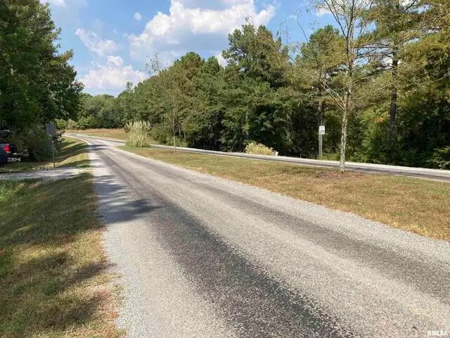 Lot 148 and Lot 501 Parrish Ridge Lane, Goreville, IL 62939 - #3