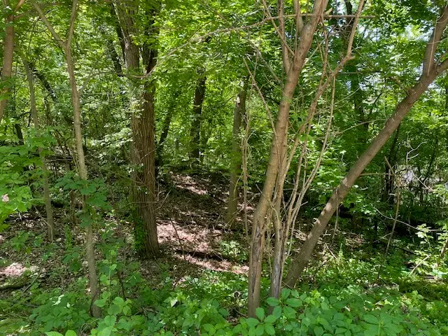 Lots 11 & 12 Ravine Drive, Spring Grove, IL 60081 - #3