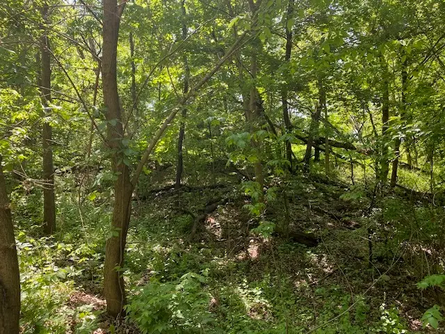 Lots 8 & 9 Ravine Drive, Spring Grove, IL 60081 - #2