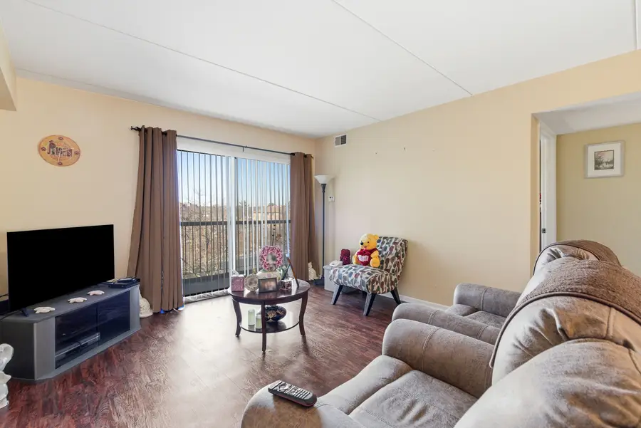 6010 Lake Bluff Drive #402, Tinley Park, IL 60477 - #2