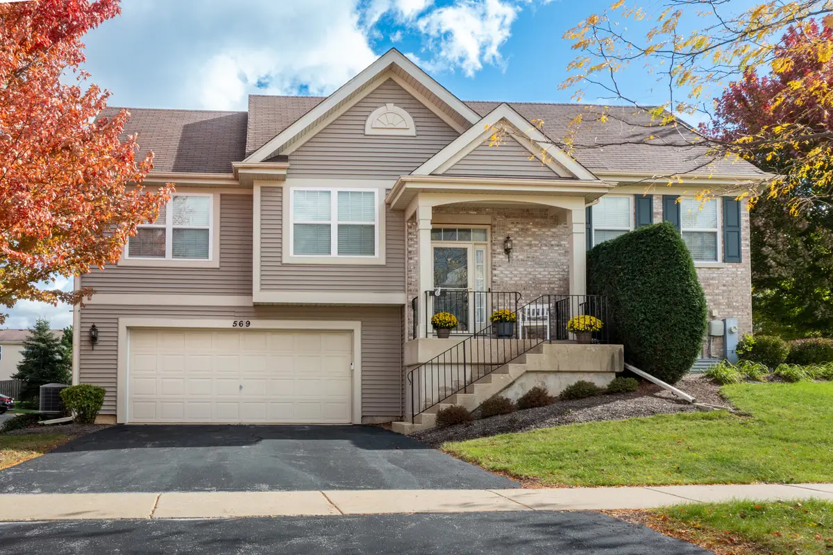 569 Treble Lane, Volo, IL 60073 - #1