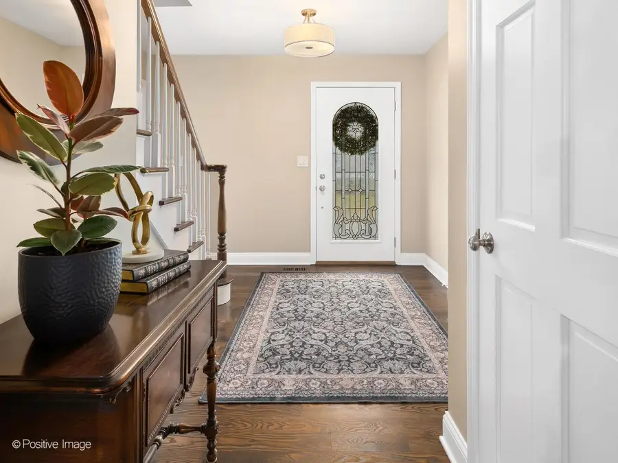 202 Pine Tree Lane, La Grange Park, IL 60526 - #3