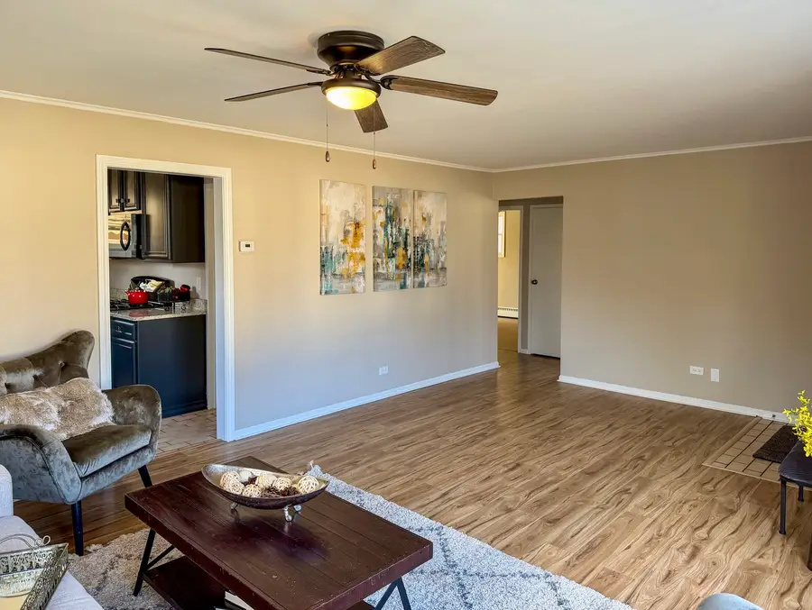 243 Mantua Street, Park Forest, IL 60466 - #3