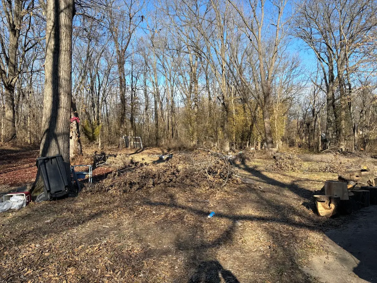 1406 Dial Street, Benton, IL 62812 - #1