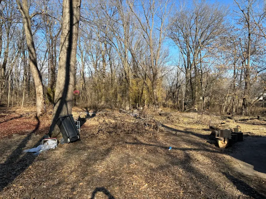 1406 Dial Street, Benton, IL 62812 - #3