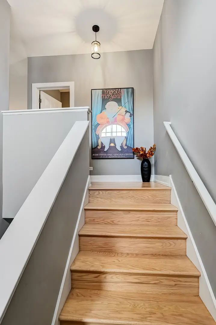 123 Willow Boulevard, Willow Springs, IL 60480 - #3