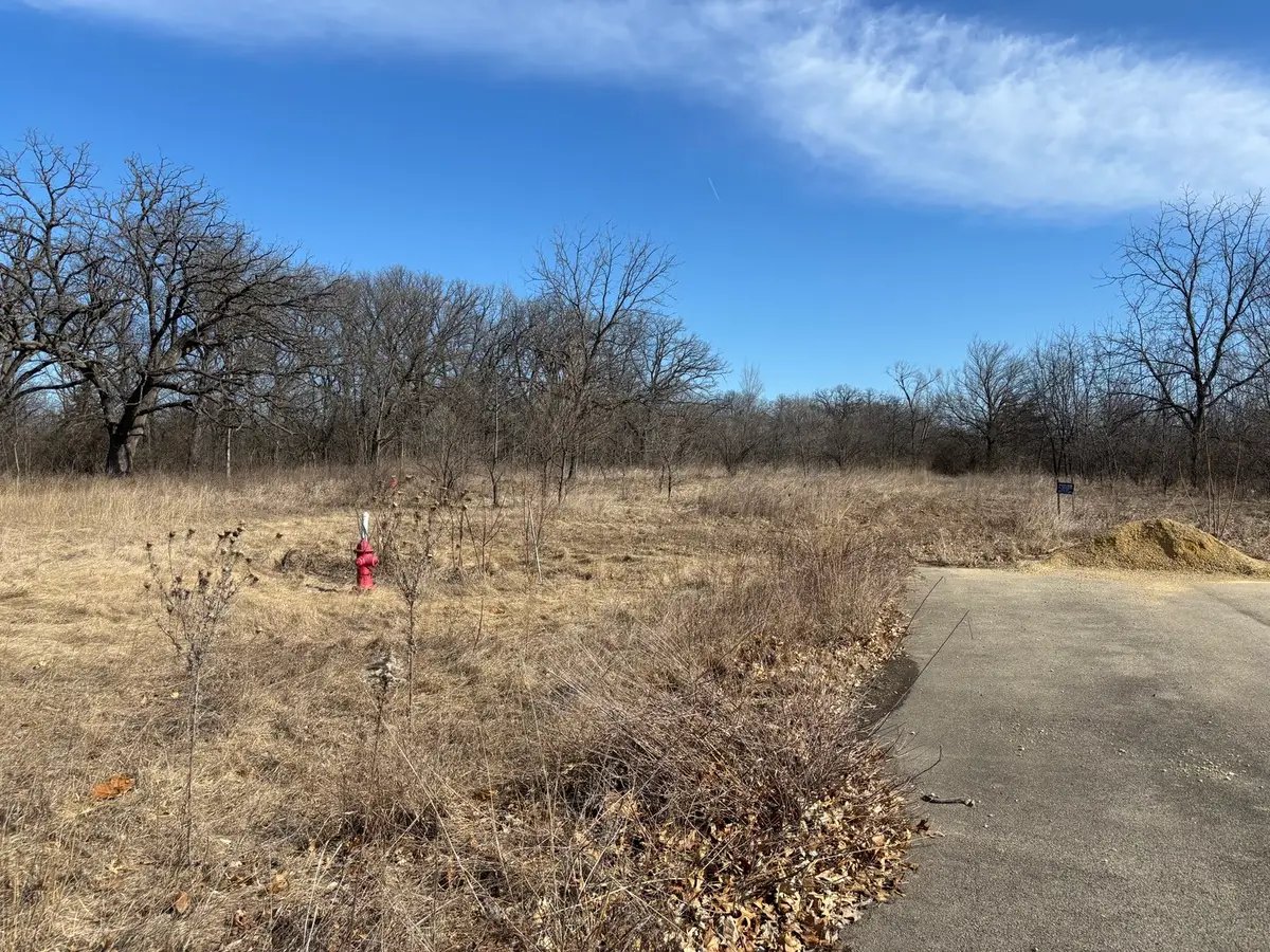 Lot 130 & Lot 131 Chippewa Trail, Albany, IL 61230 - #1