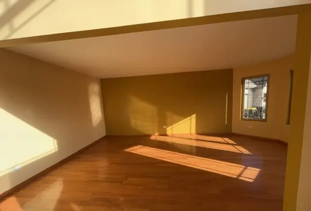 19920 Erika Court, Lynwood, IL 60411 - #3