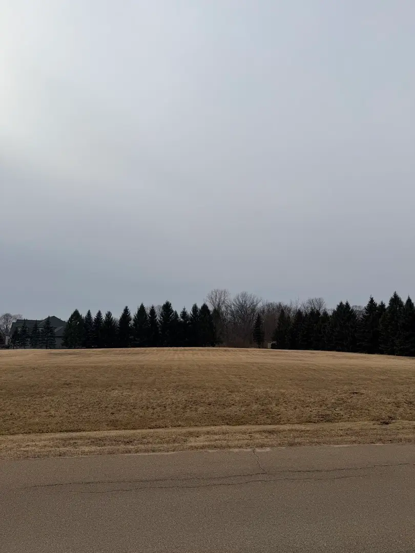 8148 Shadow Creek Lane, Yorkville, IL 60560 - #2