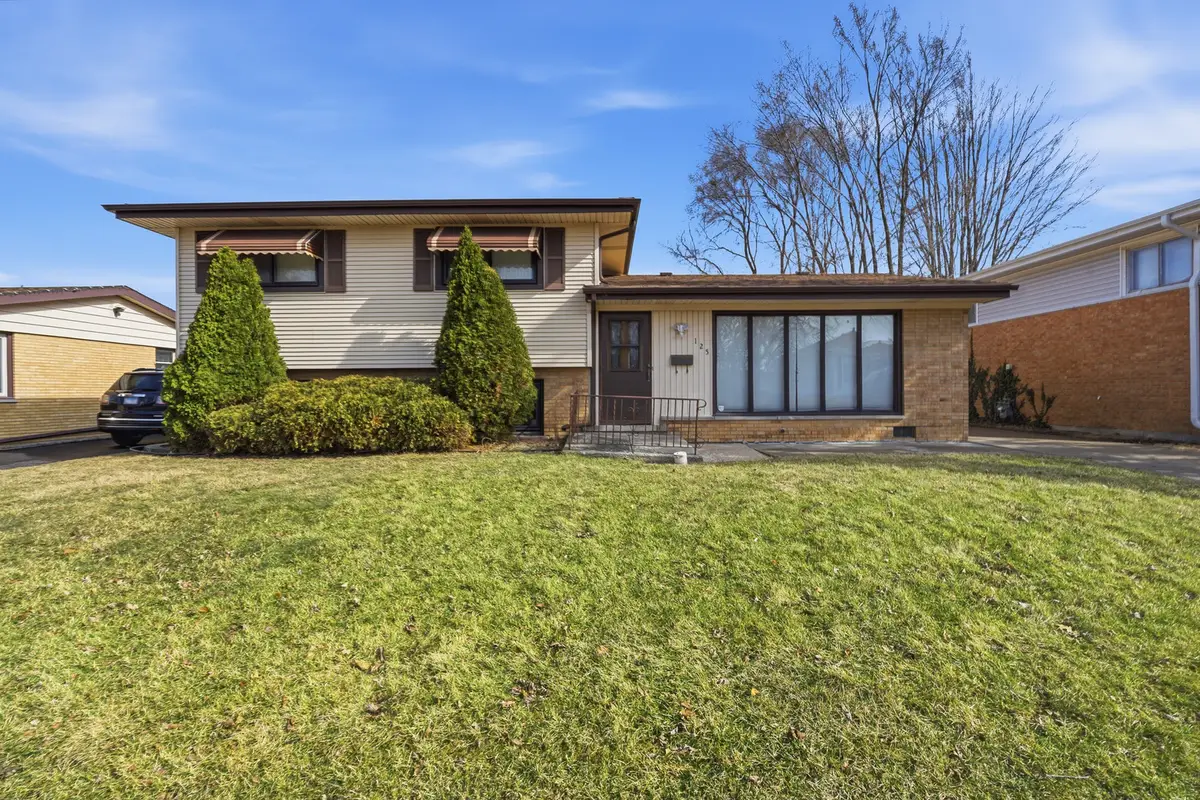 125 Mildred Lane, Chicago Heights, IL 60411 - #1
