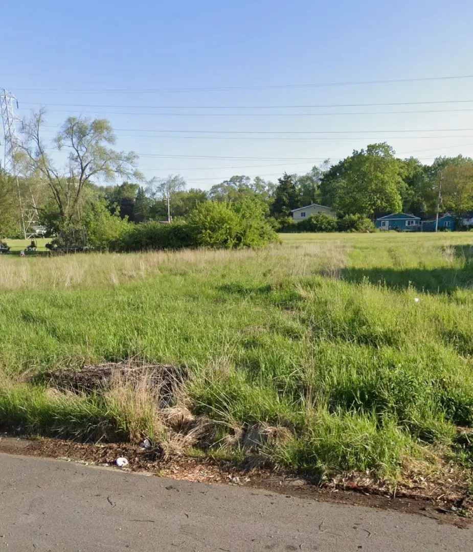 113 Bradford Road, Joliet, IL 60433 - #1