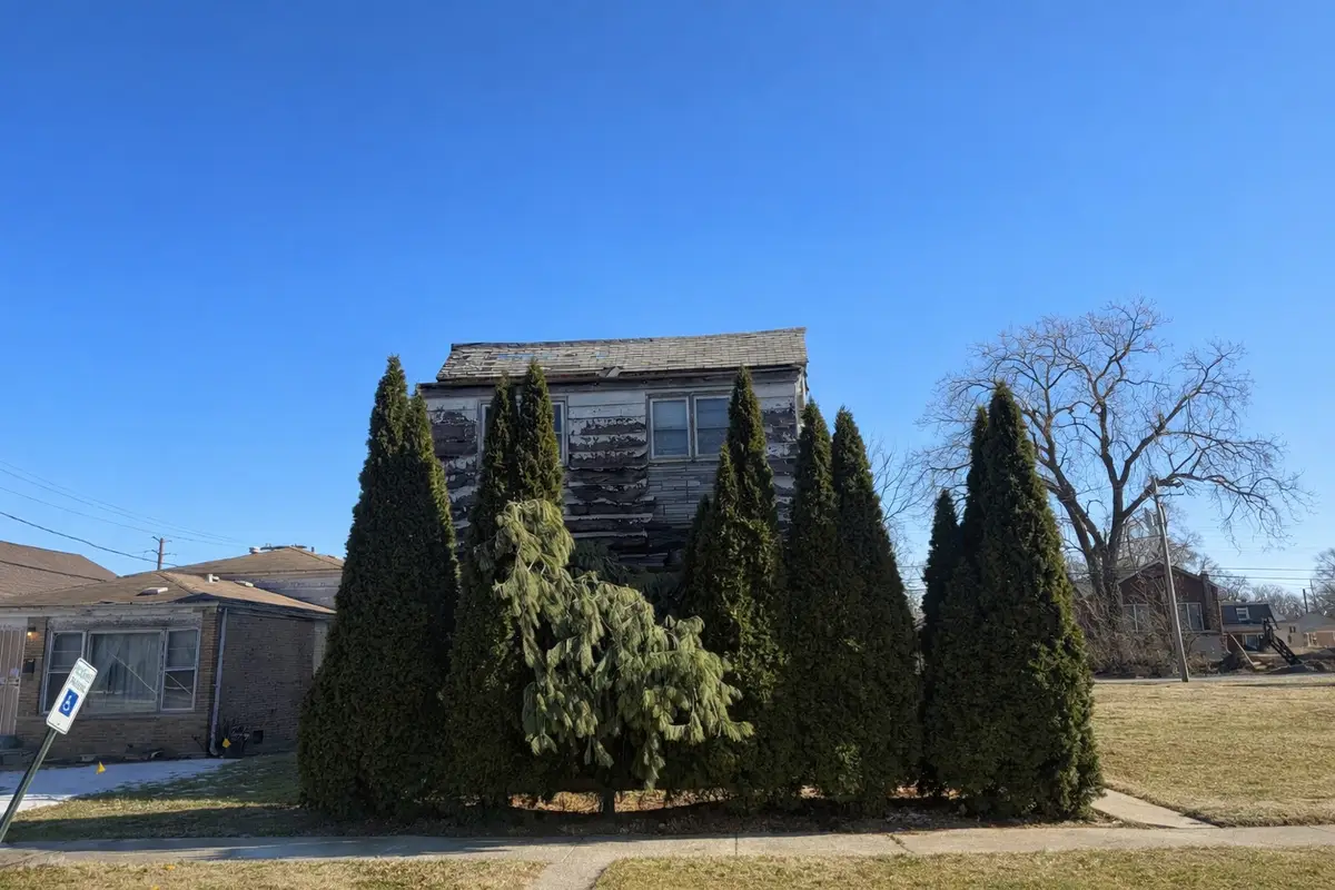 14717 Hoyne Avenue, Harvey, IL 60426 - #1