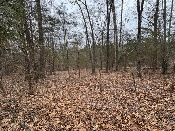 000 Indian Creek Drive, Goreville, IL 62939