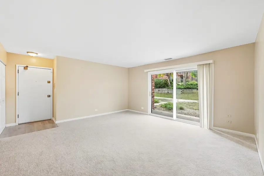 712 Tipperary Court #1C, Schaumburg, IL 60193 - #3