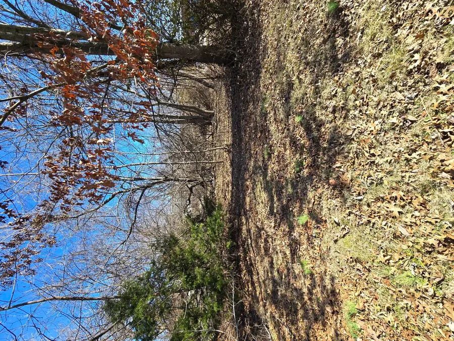 00 Giant City Road S, Carbondale, IL 62902 - #3