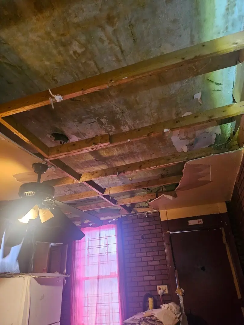 1010 N Ridgeway Avenue, Chicago, IL 60651 - #2