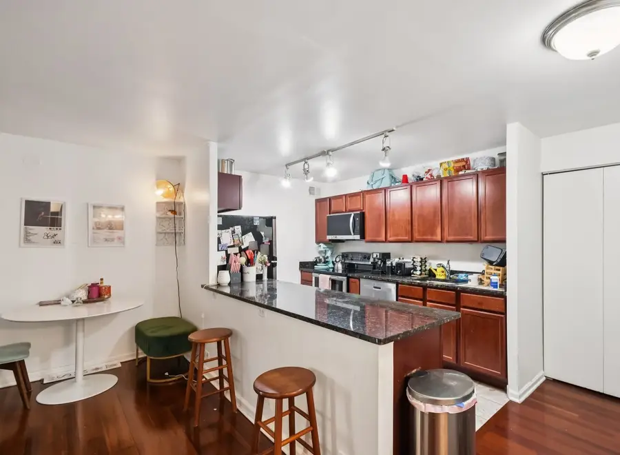 222 E Pearson Street #1009, Chicago, IL 60611 - #3