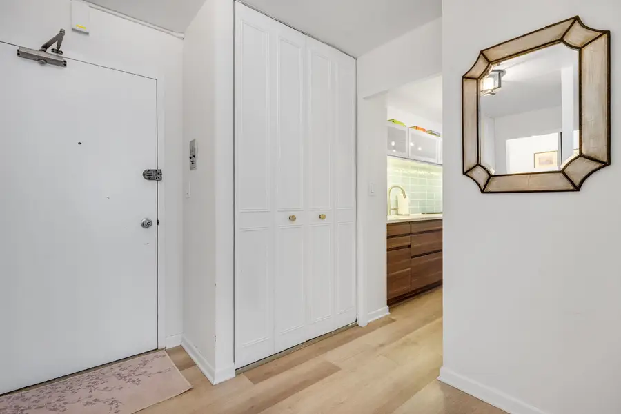 4250 N Marine Drive #1729, Chicago, IL 60613 - #3