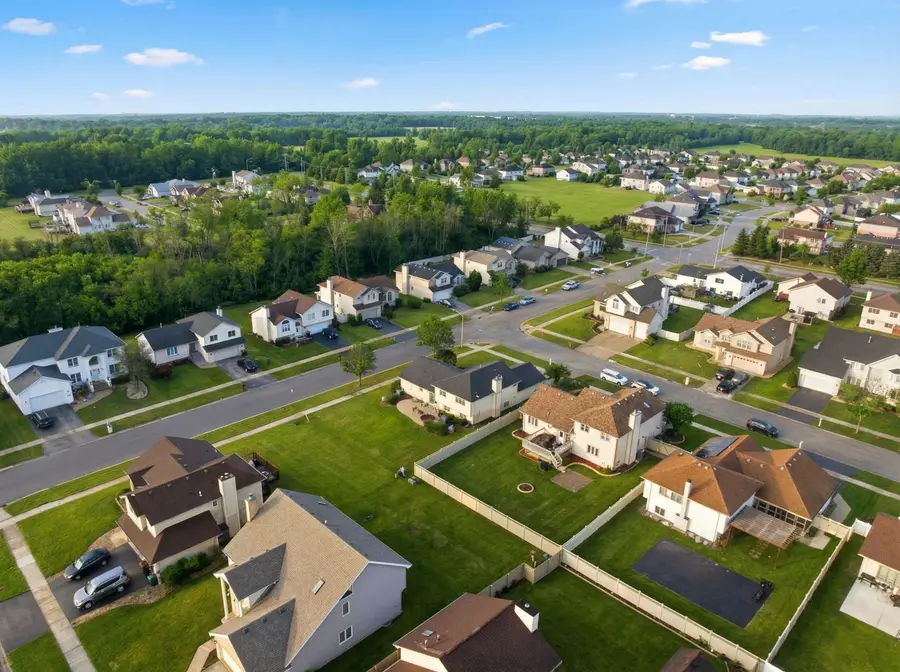 22931 Ridgeway Avenue, Richton Park, IL 60471 - #3