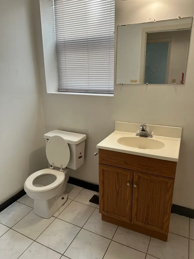 847 S Miller Street, Chicago, IL 60607 - #3