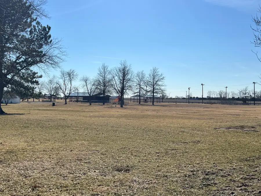 203 W 5th Avenue, Rankin, IL 60960 - #2