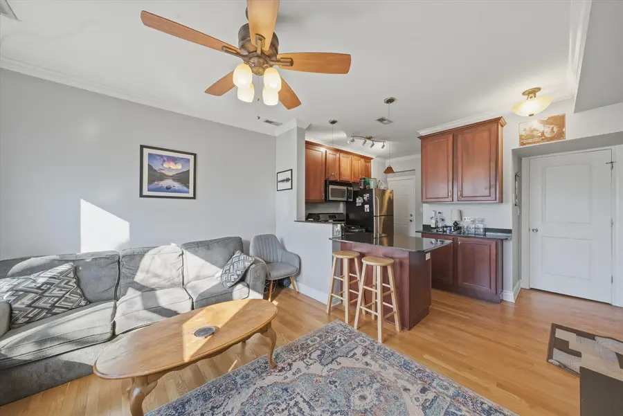 558 W Deming Place #2, Chicago, IL 60614 - #3