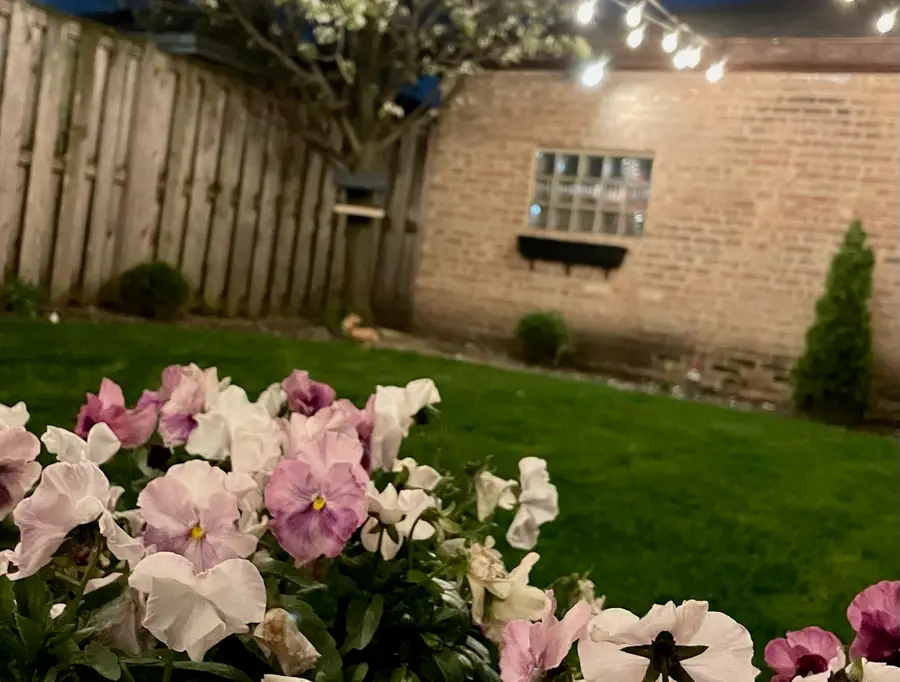 3764 N Oleander Avenue, Chicago, IL 60634 - #2