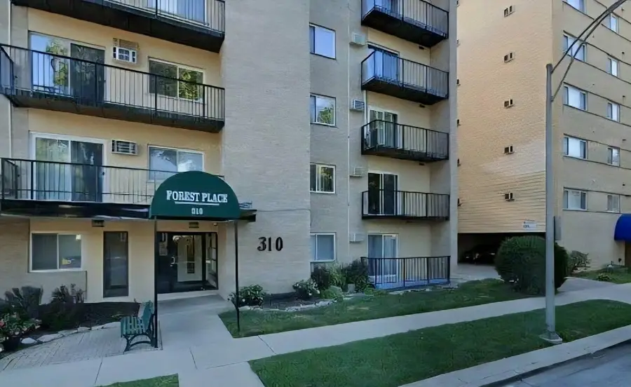 310 Lathrop Avenue #307, Forest Park, IL 60130 - #2
