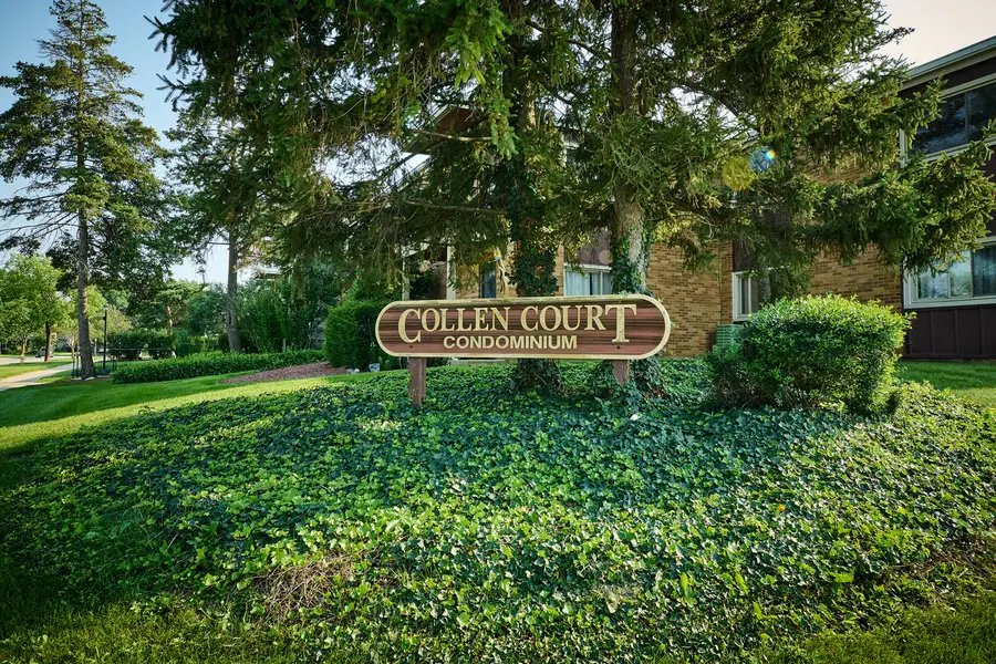 1320A Lore Lane #101, Lombard, IL 60148 - #2