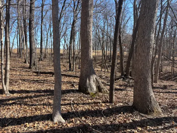 1742 Tanglewood Drive, Varna, IL 61375