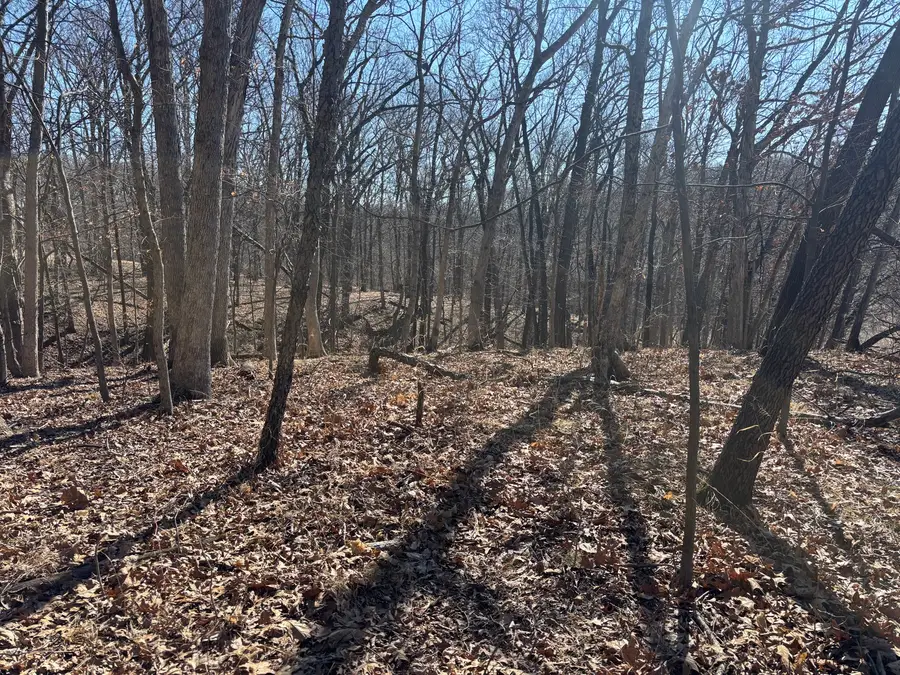 1742 Tanglewood Drive, Varna, IL 61375 - #3