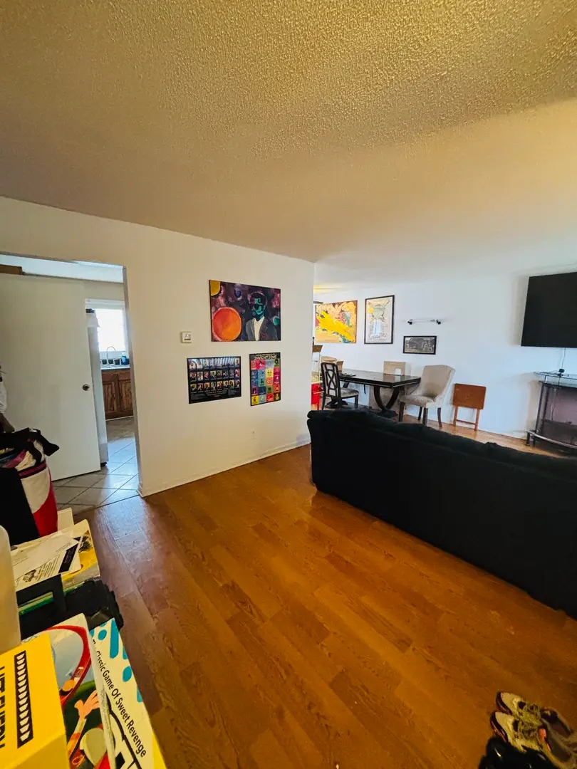 807 Union Drive, University Park, IL 60484 - #3