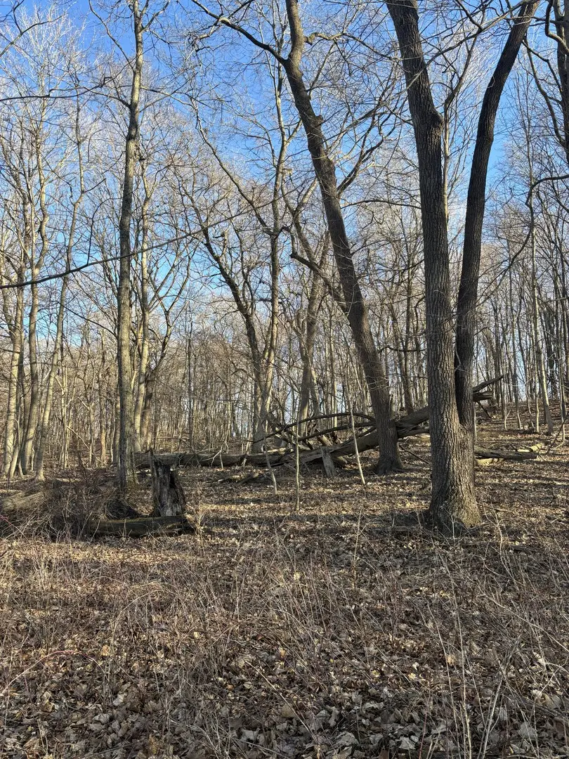 2960 N 2553rd Road, Seneca, IL 61360 - #3