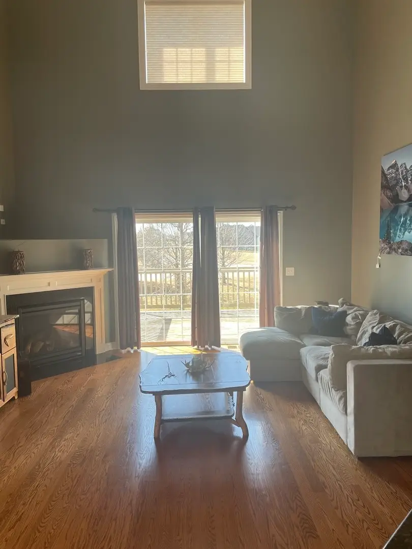 19830 Mulroy Circle, Tinley Park, IL 60487 - #3